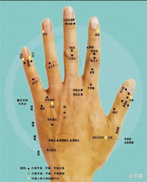 左手食指 痣 噓一級機密報告書英文版
